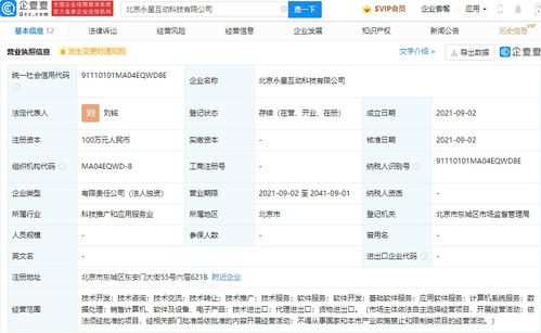 深圳計(jì)算機(jī)系統(tǒng)服務(wù) 數(shù)字時(shí)代的創(chuàng)新引擎與產(chǎn)業(yè)支柱